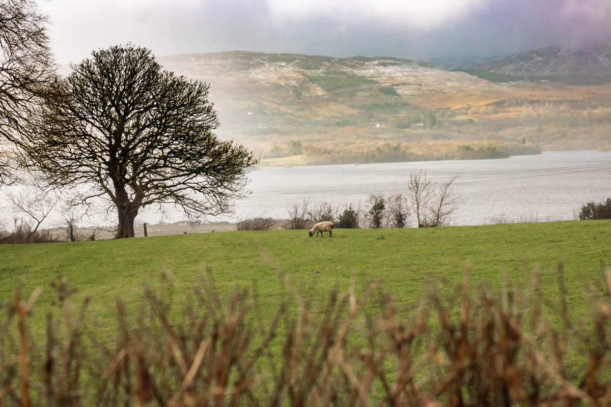 Deer Park