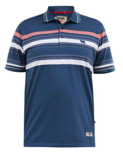 Load image into Gallery viewer, D555 blue pique polo
