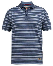 Load image into Gallery viewer, D555 blue striped pique polo
